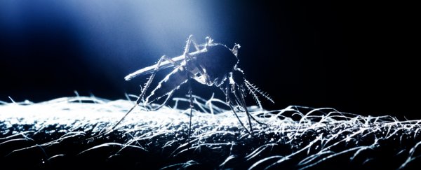 New malaria vaccine may be the key to finally controlling the disease
