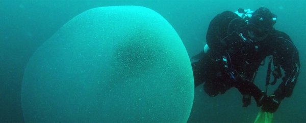 This mystifying underwater blob is filled with mucus and thousands of squid eggs