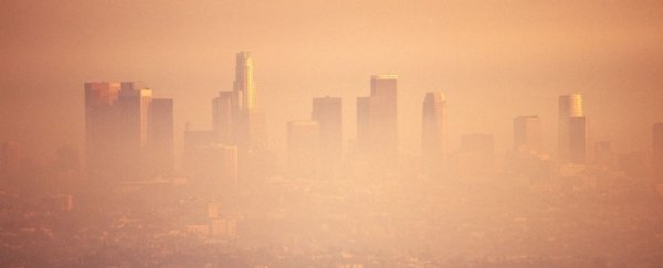 Humanity now lives in the Anthropocene. But what does that actually mean?