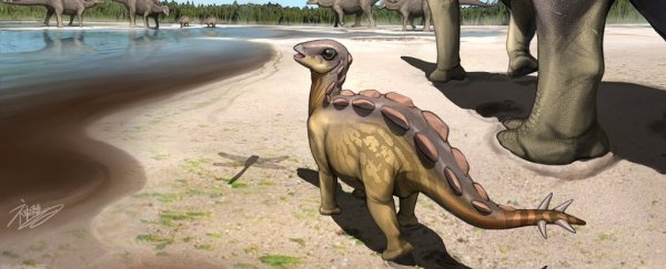 The smallest stegosaur footprint ever found will make you squee with joy