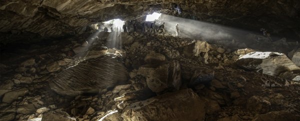 Ancient bear DNA sequenced from old cave dirt in historic first for science