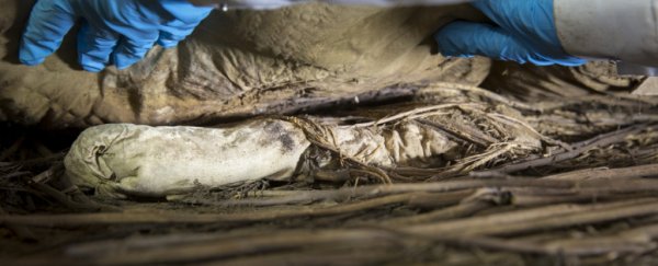 A 17th century bishop was mysteriously buried with a fetus. We finally know why