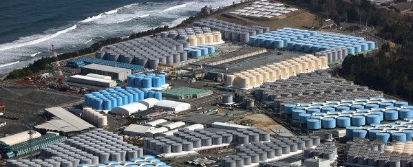 Here's what you need to know about Japan's Fukushima water release plan