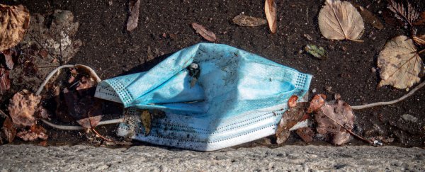 Our pandemic trash is killing wildlife on a devastating scale, scientists warn