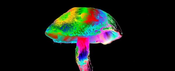 mushroom psychedelic