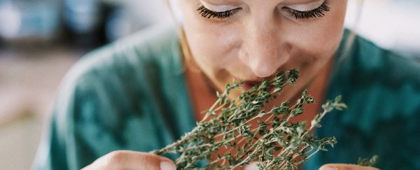 Doctors identify the best treatment for COVID-19 smell loss, and it's not steroids
