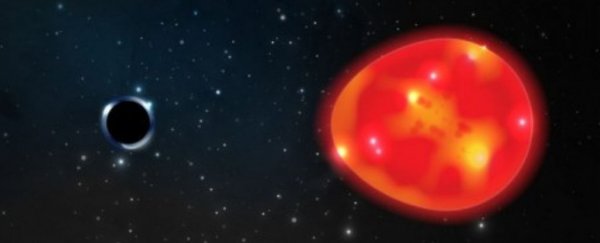 Astronomers have detected the closest black hole to Earth. Thankfully, it's tiny