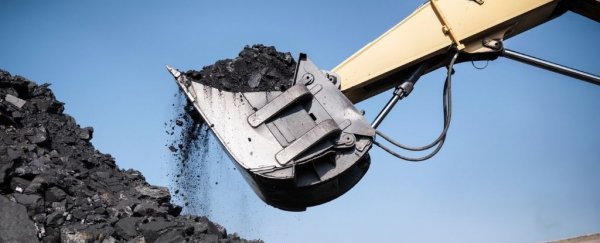 Earth is using 173% of the world's total 'biocapacity', scientists warn