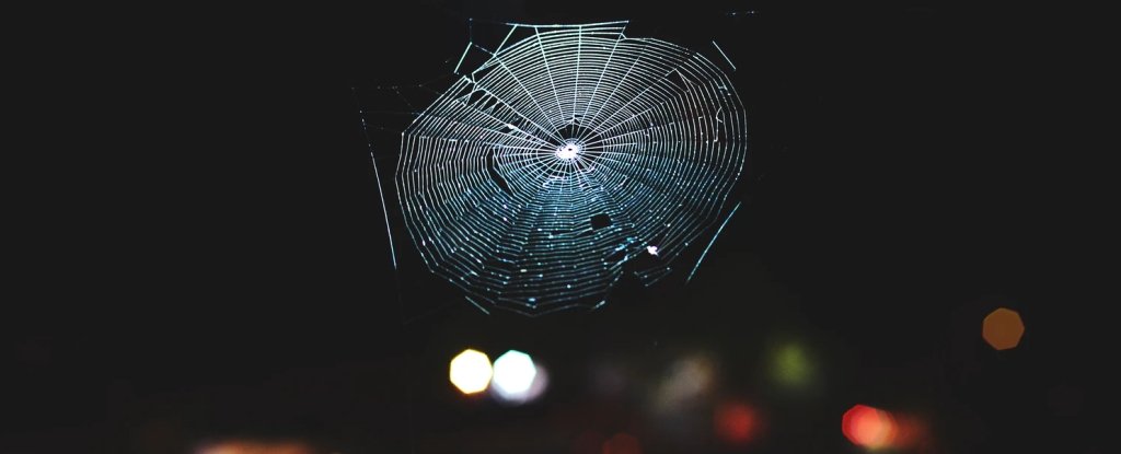 Most spiderwebs are more complex than a 2D structure. 