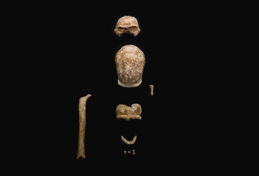 08italy neanderthal02 jumbo