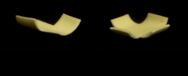 Scientists create 'flat-pack' pasta that morphs into shape like moving organisms