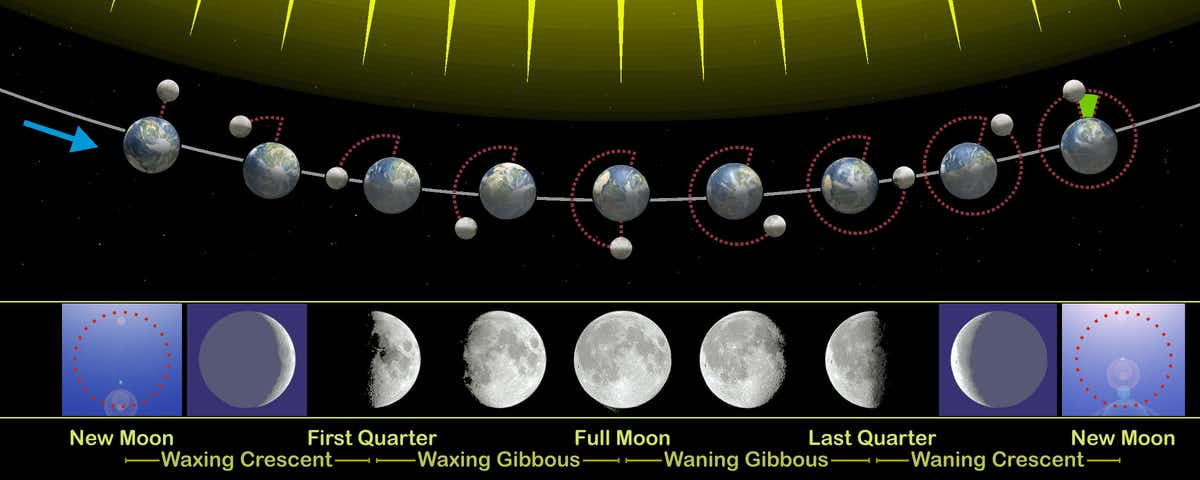 Moon phases correspond to how much of the lit–up side you can see from Earth. (Orion 8/WikimediaCommons/CC BY-SA)