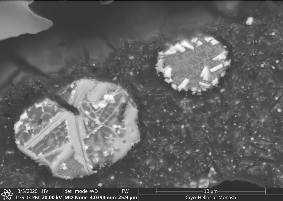 Plutonium and uranium show up as bright lumps embedded in darker iron-aluminum alloy in this electron microscope image. (Cook et al, Scientific Reports, 2021)