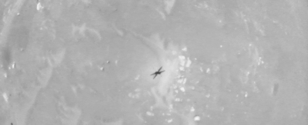 Ingenuity just survived an unexpected in-flight anomaly on Mars!