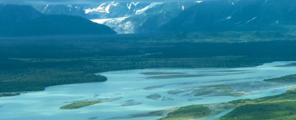 'River piracy' phenomenon set to steal Alaskan river, scientists predict