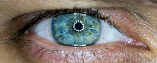Gene therapy partially restores vision in blind patient in first case of its kind