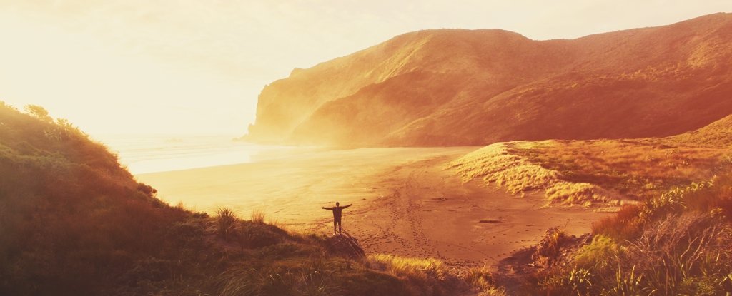 Anawhata Beach in North Island, New Zealand. 