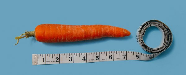 Is pollution shrinking penises and depleting sperm counts? Here are the facts