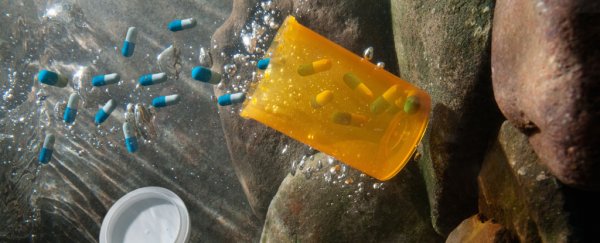 Do pharmaceuticals pose a threat to aquatic life? Experts weigh in