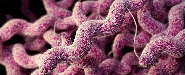 The most common bacterial cause of food poisoning could also be an STI