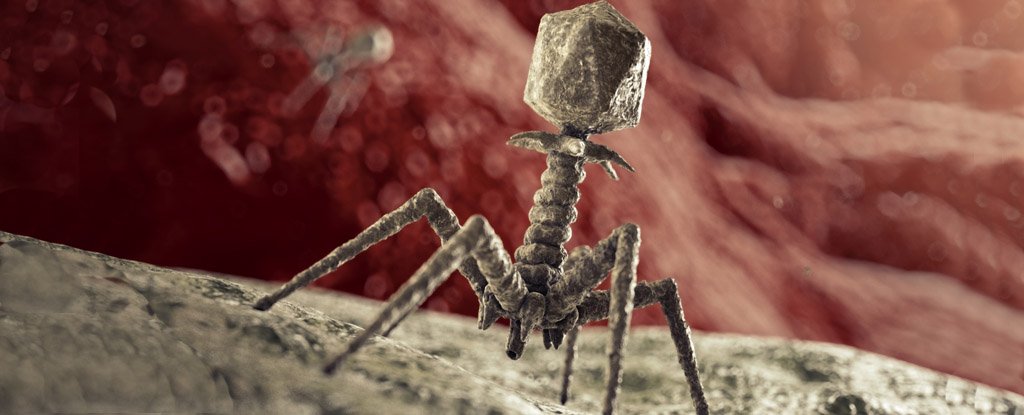 Illustration of a bacteriophage. 