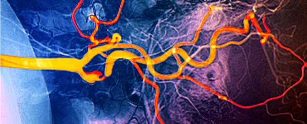 Young adults who've had COVID-19 show signs of lasting cardiovascular damage