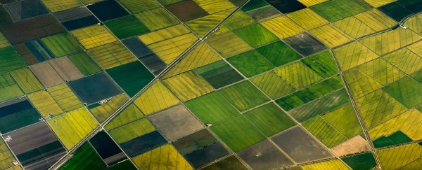 Humans have transformed nearly one-fifth of Earth's land in just 60 years