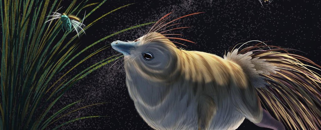 An artist's illustration of what Shuvuuia deserti may have looked like. 