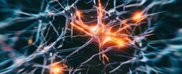 New diagnostic tool predicts the risk of Alzheimer's with astonishing accuracy of 90%