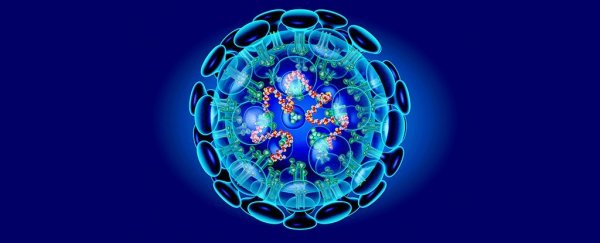 Lab or nature? The current evidence for each of the SARS-CoV-2 origin theories