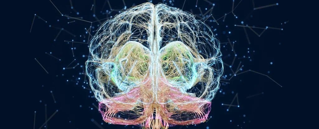 Scientists Trace The Intricate Oscillations Our Brains Use to 'Save' Memories in Sleep