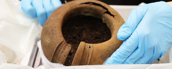 Map maker accidentally finds 2,500-year-old Bronze Age treasure trove in a forest