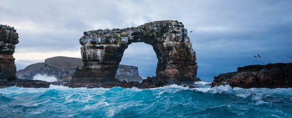 The iconic Darwin's Arch in the Galapagos is gone forever after a collapse