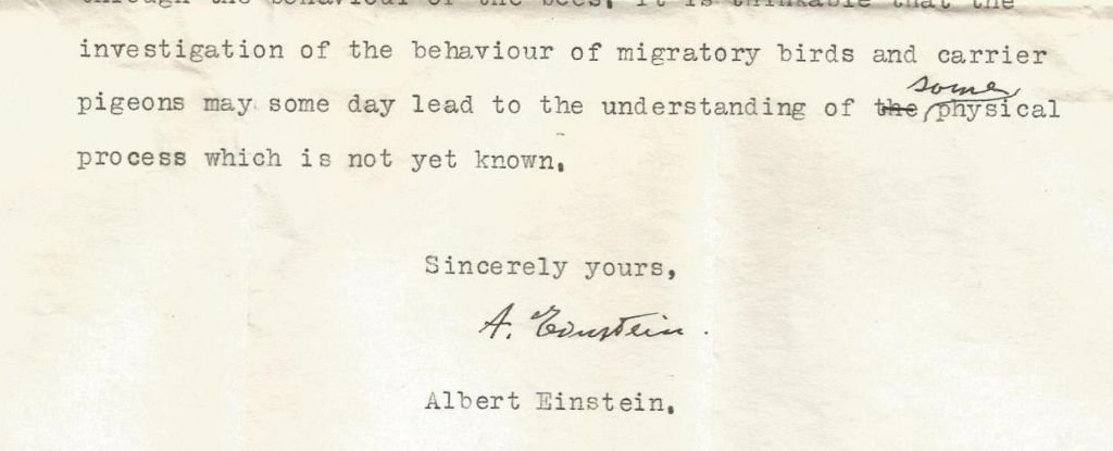 Carta perdida hace mucho tiempo muestra que Einstein predijo que los animales tenían ‘súper sentidos’ : Heaven32