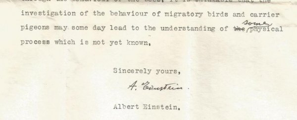 A screenshot of a letter written by Einstein.