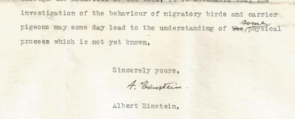 A screenshot of a letter written by Einstein.