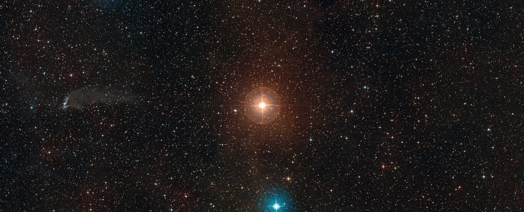 L2 Puppis, a red giant star like SPLUS J2104-0049. 