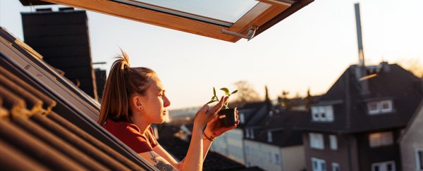 Why you need to beware of sun-induced DNA damage after so much time in lockdown