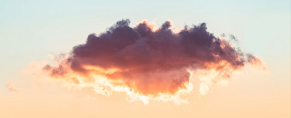 What does 'net zero' actually mean? Here's why some people are upset