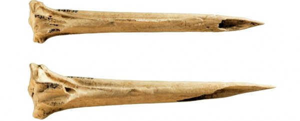 Made from bird bones, these could be the oldest known tattooing tools