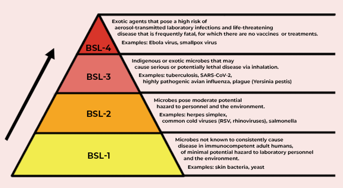 Biosafety levels defined by how much risk is involved in working with particular pathogens. (The Conversation/CC BY-ND)