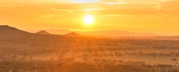 'Climate Seesaw' Spurred Human Evolution in Africa for Millennia, Scientists Say