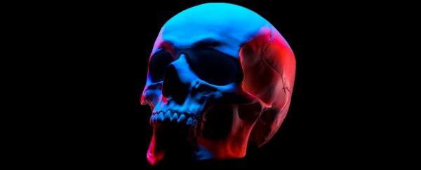 Human skull under blue and red lights