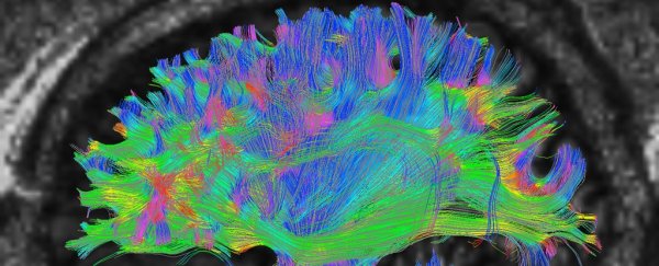 Memories are played back at super high-speed when we're learning new skills