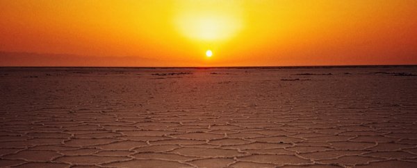 Atmospheric CO2 just hit a peak not seen on Earth in 4 million years