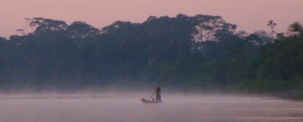 'Amazing natural experiment': In this Amazonian tribe, brains don't age like ours