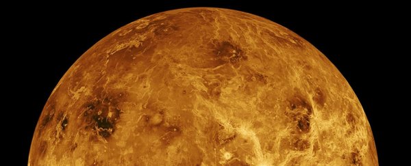 Life on Venus would have to be a 'new type of organism', astronomers now claim