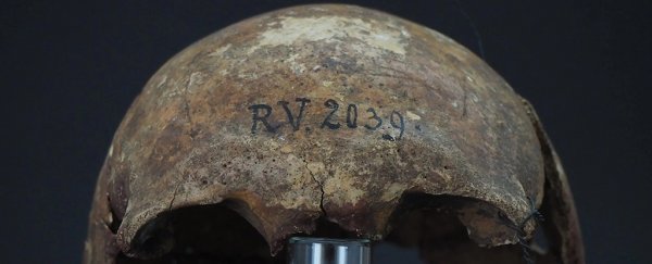 Oldest known plague victim was just discovered. It was 4,000 years before Black Death