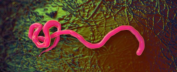 While world fights the pandemic, a different outbreak was just quashed in Guinea