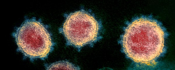 A coronavirus epidemic hit humanity 20,000 years ago, DNA study reveals